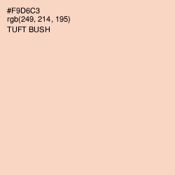 #F9D6C3 - Tuft Bush Color Image